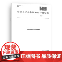 电加热锅炉技术条件(代替 JB/T 10393-2002)NB/T 10936-2022
