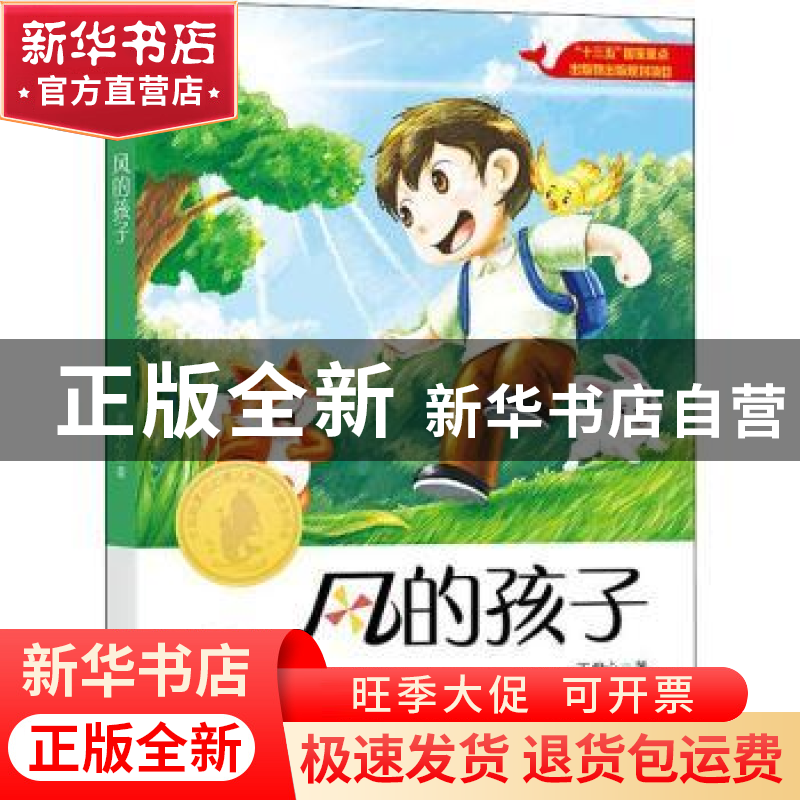正版 风的孩子 王君心 大连出版社 9787550514584 书籍