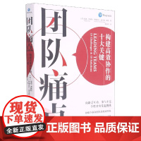 团队痛点(构建高效协作的十大关键)(精)