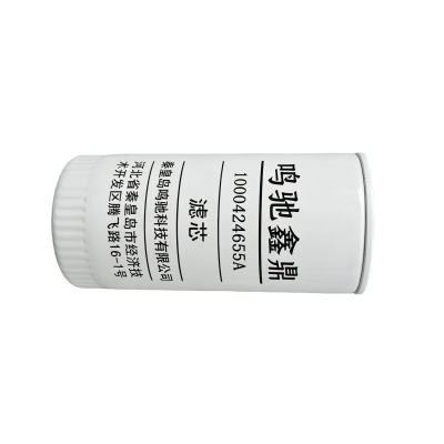 鸣驰鑫鼎 滤芯 1000424655A 个