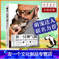 [友一个正版] 养一只神气猫 猫咪养护及猫行为 指南 宠物喂养护理猫咪教学书籍 读懂猫咪心理 猫咪基础知识科普大百科大