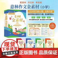 意林金素材系列