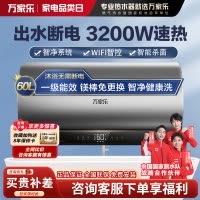 万家乐 60升电热水器60L家用 3200W大功率速热 一级能效 安全无电洗 智能抑菌 WIFI远程遥控D60-FW5