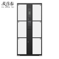 芙首泰电子存包柜人脸识别6门850*460*1800mm台