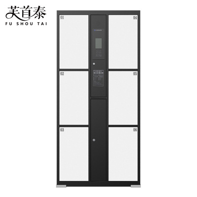 芙首泰电子存包柜人脸识别6门850*460*1800mm台