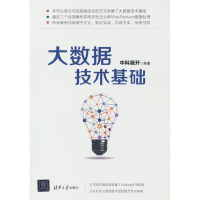音像大数据技术基础中科普开 著