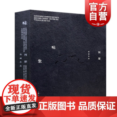 正版 味象 何雁绘画作品 表演艺术教育参考书籍 意念与物质 绘画与物像 上海人民美术出版社