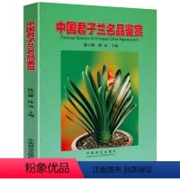 [正版]中国君子兰名品鉴赏(16K全彩铜版纸印刷)兰科植物君子兰栽培养护品赏养兰从新手到高手养花书籍