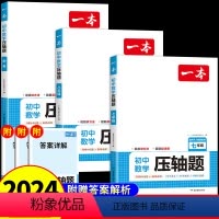 一本初中数学压轴题 九年级/初中三年级 [正版]2024版初中数学压轴题人教版 七八九年级中考必刷题初一上册下册同步练习