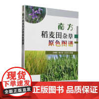 南方稻麦田杂草原色图谱