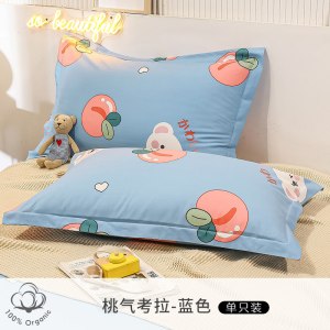 枕头套一对装双人单人学生宿舍枕大号家用枕套48x74cm春夏秋冬季