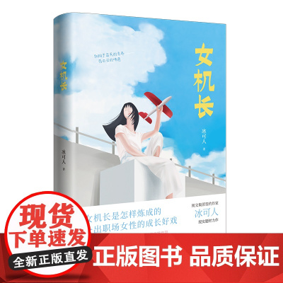 女机长 都市爱情职场励志故事网络小说 冰可人著 图书 花城出版社正版书籍
