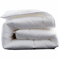 亚博娜 全棉羽丝绒被芯 SN-710 床