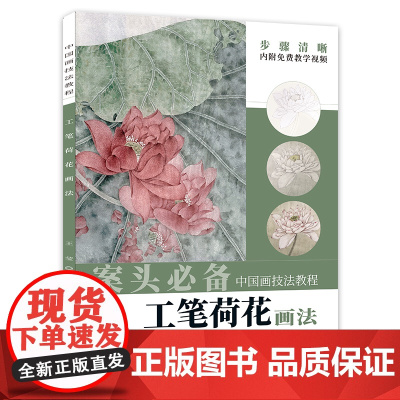 中国画技法教程——工笔荷花画法