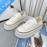 SUNTEK小白鞋女2023年夏季薄款厚底蕾丝网面透气松糕百搭帆布休闲渔夫鞋