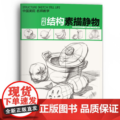 经典全集 [大开本]结构素描静物临摹书籍单体组合绘画大关系透视美术基础技法正版 杨建飞主编sh
