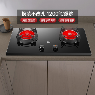 红日(RedSun)红外线燃气灶双灶双眼灶家用定时灶具厚面板换装免改孔烧烤炒菜两用台嵌灶JZY-EX16B(液化气)