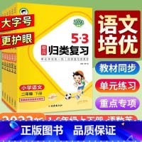 [ 活动中]53总复习 语文 小学六年级 [正版]一年级二年级三年级四年级五年级六年级上下册语文英语 小学阅读理解专