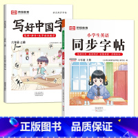 六年级上册[语文+英语字帖] [正版]抖音同款小学生英语同步字帖衡水体一二三四五六年级上下册人教版英文单词字母描红练字本