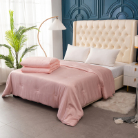 华人情思 蚕丝木棉蛋白被 220*240cm BD159/套