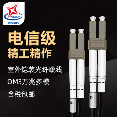 辉宏时代室外多模铠装光纤跳线千兆万兆尾纤LC/FC/SC/ST双芯阻燃光纤线缆延长线电信级30米FC-SC千兆多模双芯