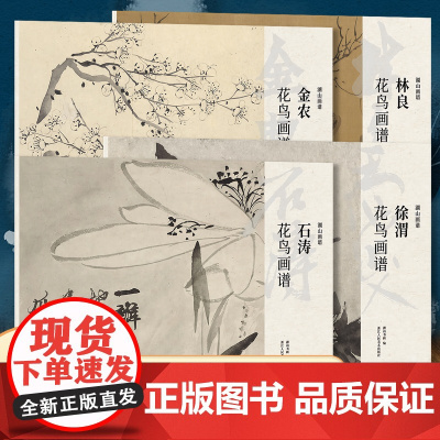 明清花鸟画谱4册 石涛金农林良徐渭花鸟画谱册页精选单片散装立轴/散页盒装高清还原/可临摹鉴赏装饰收藏国画临摹卡 湖山画谱