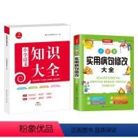 知识大全+病句修改共2册 [正版]小学语文知识大全小学生实用病句修改大全小考真题讲练结合三四五六年级小学适用语文基础知识