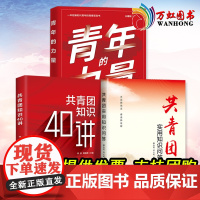 2022年青年的力量+共青团知识40讲+共青团实用知识问答 新时代共青团的历史知识指导团员团干部学习手册党政书籍民主法制