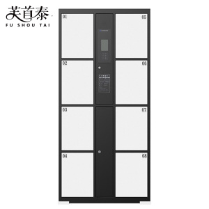 芙首泰电子存包柜人脸识别8门850*460*1800mm台