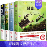 [全套4册]昆虫记+柳林风声+绿野仙踪+呼兰河传 [正版]柳林风声书 原版小学生课外阅读书籍三四五六年级阅读经典书目青少