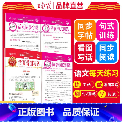 2本[同步字帖+句式训练] 四年级上 [正版]2024上册活页专项练习阅读理解看图写话1-2年级练字帖每日一练小学3-6