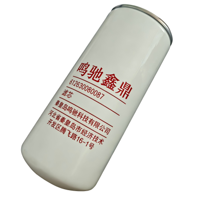 鸣驰鑫鼎 滤芯 612630080087 个