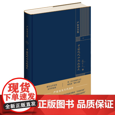 正版 中国现代小说流派史 严家炎全集系列作品 文学理论文集新星出版社书籍