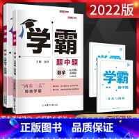 九年级上册+下册数学苏科版 九年级/初中三年级 [正版]江苏版2025版学霸题中题九年级上下册语文数学英语物理化学 苏科
