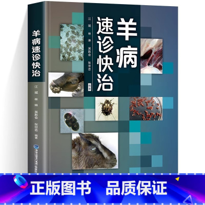 [正版] 羊病速诊快治 养羊技术书籍大全 羊病治疗书籍高效科学养羊肉羊规模化养殖饲养喂养 山羊小尾羊散养圈养快速出栏方法