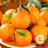 [西沛生鲜]四川新鲜不知火柑橘 净重9斤 单果65mm+ 产地精选 坏果包赔