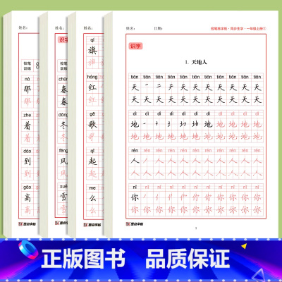 [一年级上册+下册]语文同步字帖4本 [正版]一年级上册练字帖小学生练字本每日30字同步人教版语文二三年级上下册生字拼音