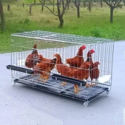 鸡笼号加密养殖鸡笼折叠运输笼兔笼狗猫笼家用鸡笼子