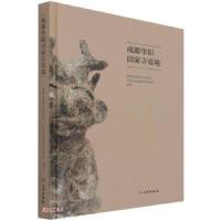 正版新书]成都华阳田家寺墓地成都文物考古研究院著,颜劲松 编9