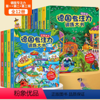 德国专注力训练大书全三辑[全12册] [正版]德国专注力训练书全套12册 幼儿思维逻辑训练书儿童绘本2-3-4-6-7