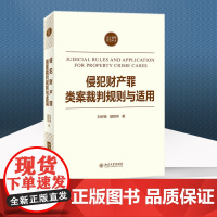正版 侵犯财产罪类案裁判规则与适用 刘树德 聂昭伟 著 北京大学出版社 9787301328101