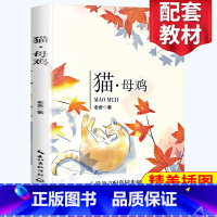 [正版]猫 母鸡 老舍著 四年级阅读小学语文同步阅读 名师指导经典文学名作 课外拓展阅读 阅读写作能力提升 长江文艺出