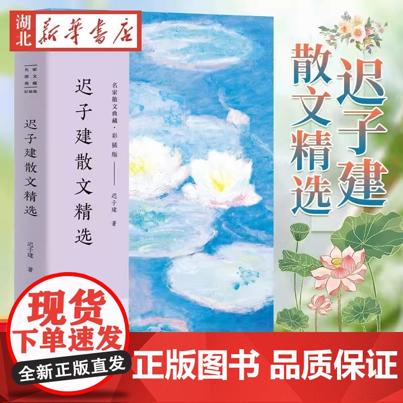 名家散文典藏(彩插版)-迟子建散文精选 高初中考生课外阅读书籍龙眼与伞/我对黑暗的柔情/落红萧萧中国文学长江文艺出版书