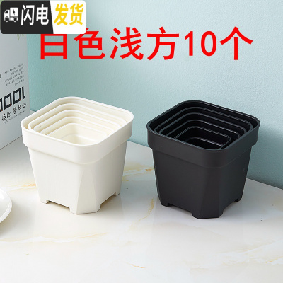 三维工匠经典加强特厚黑白小方大方多肉家庭园艺植物塑料磨砂浅方花盆 白色浅方10个 10.5cm口径花盆容器