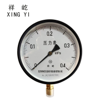 祥屹+压力表检测定制型+Y150+块