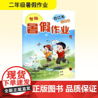 智趣暑假作业 二年级 合订本 李兵 编 小学教辅文教 正版图书籍 云南科技出版社