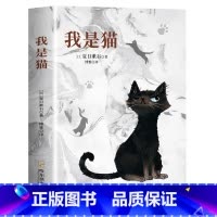 我是猫 [正版]我是猫 夏目漱石 以猫眼看世界猫作为故事的叙事者猫的所见所闻 外国小说世界名著 中小学生课外阅读书籍世界