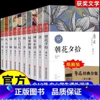 [全10册]鲁迅全集原著 [正版] 全10册鲁迅全集 六七年级阅读书必课外阅读朝花夕拾狂人日记故乡野草呐喊彷徨阿Q正传