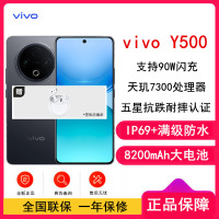 [全新]vivo Y500 玄武黑 12GB+256GB 天玑7300 5G芯 8200mAh电池 90W充电 高清影像 5G 手机