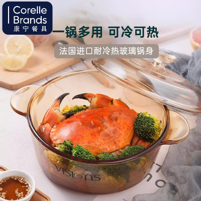 康宁VISIONS家用高硼硅玻璃炖锅蒸煮锅可明火直烧耐高温透明玻璃汤锅养生锅0.8L